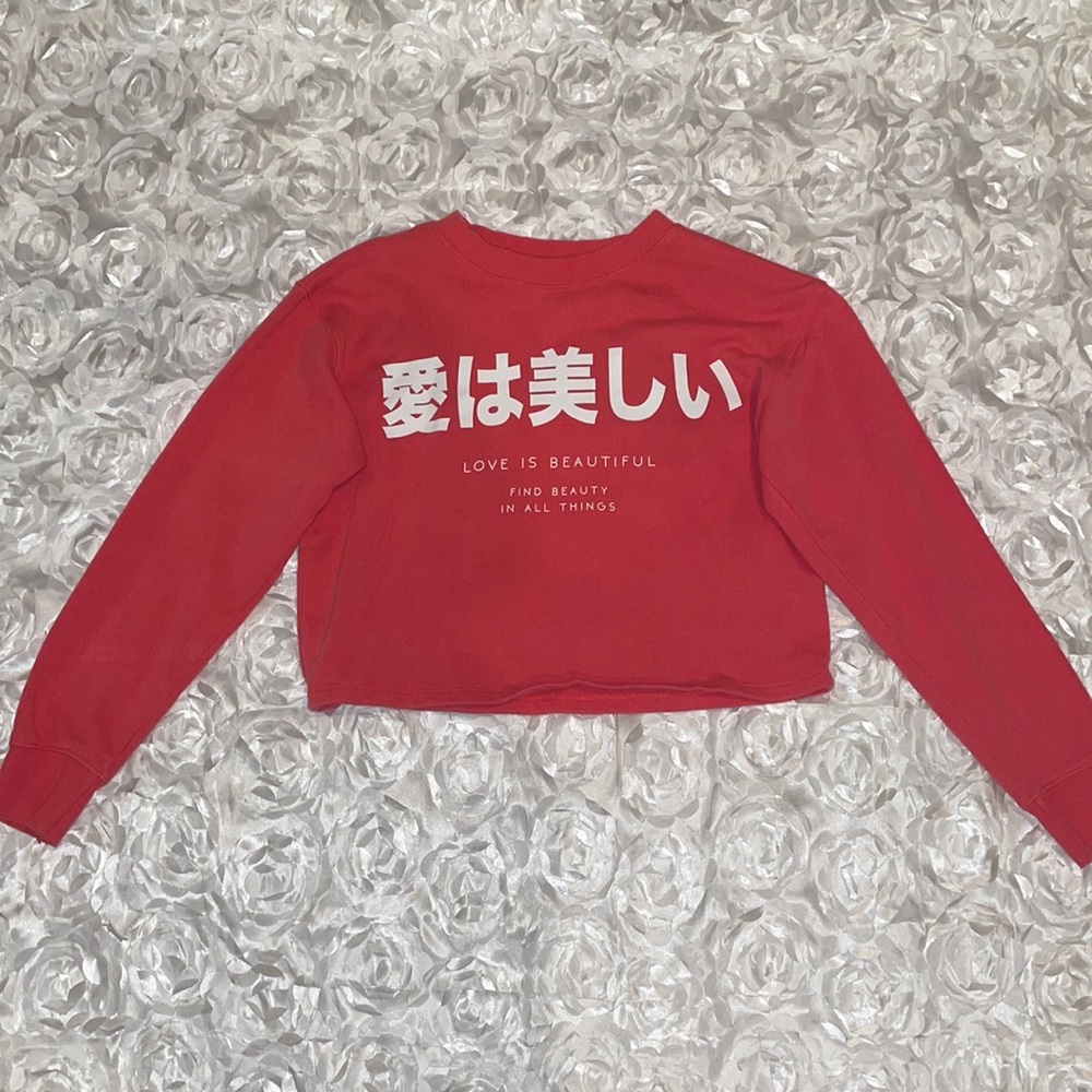 Japanese “Love is Beautiful” Crop Long Sleeve